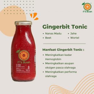 GINGERBIT TONIC CPJ